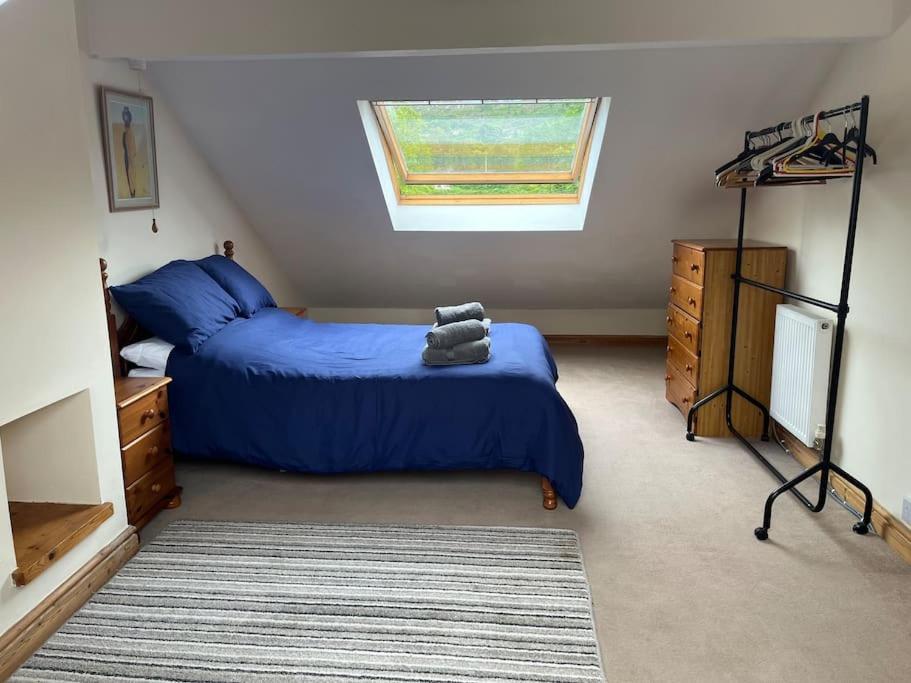 Bryn Rhedyn Cottage Cwm-y-glo Εξωτερικό φωτογραφία